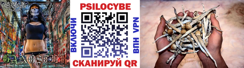 Псилоцибиновые грибы Cubensis  цены   shop телеграм  Острогожск  МЕГА сайт 