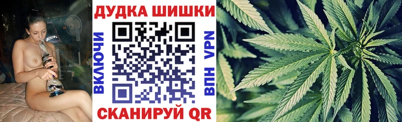 купить наркоту  Острогожск  ОМГ ОМГ зеркало  Шишки марихуана сатива 